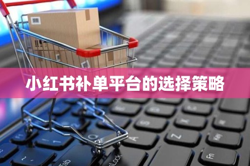 小红书补单平台的选择策略