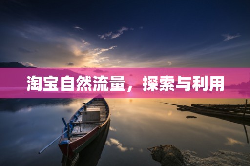 淘宝自然流量，探索与利用