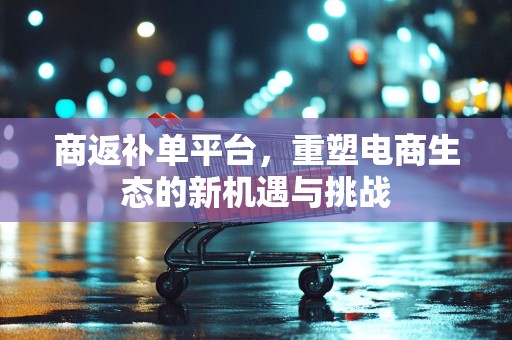 商返补单平台，重塑电商生态的新机遇与挑战
