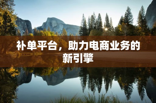 补单平台，助力电商业务的新引擎