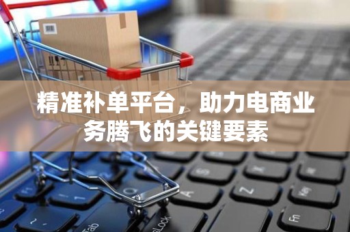 精准补单平台，助力电商业务腾飞的关键要素