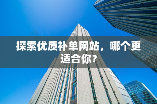 探索优质补单网站，哪个更适合你？