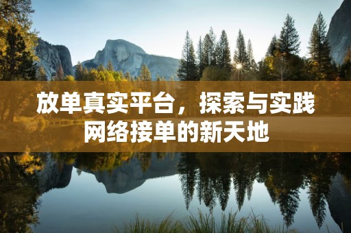 放单真实平台，探索与实践网络接单的新天地