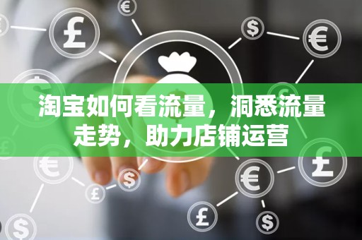 淘宝如何看流量，洞悉流量走势，助力店铺运营