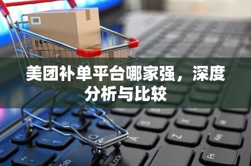 美团补单平台哪家强，深度分析与比较