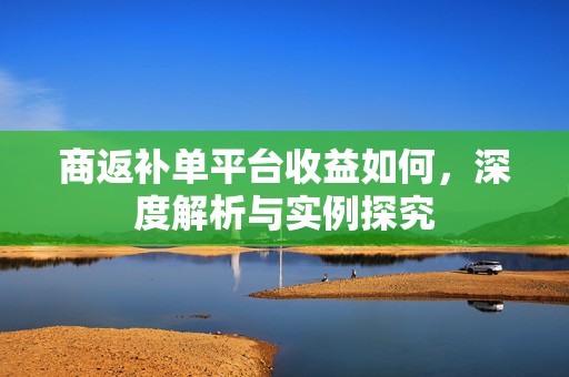 商返补单平台收益如何，深度解析与实例探究