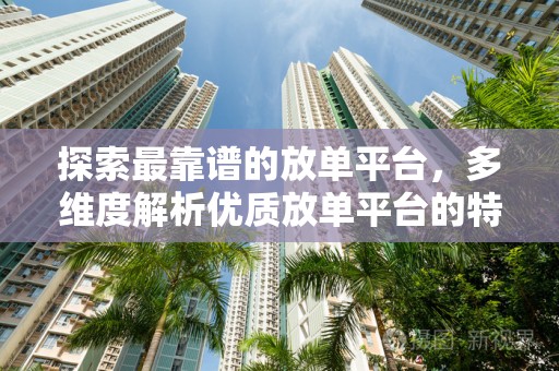探索最靠谱的放单平台，多维度解析优质放单平台的特点