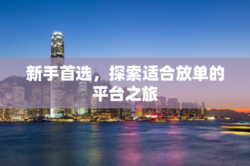 新手首选，探索适合放单的平台之旅