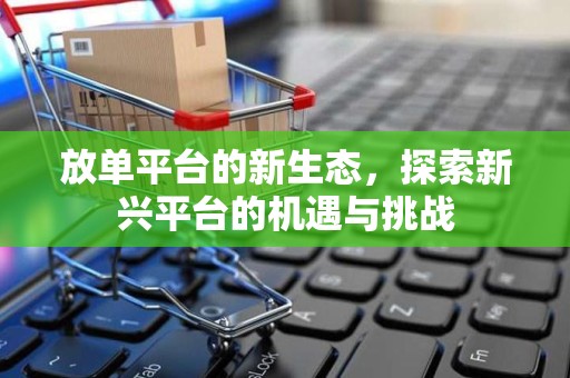 放单平台的新生态，探索新兴平台的机遇与挑战