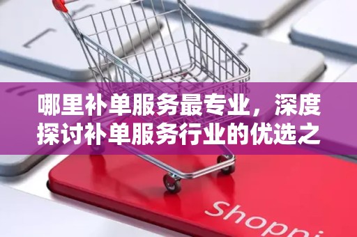 哪里补单服务最专业，深度探讨补单服务行业的优选之地