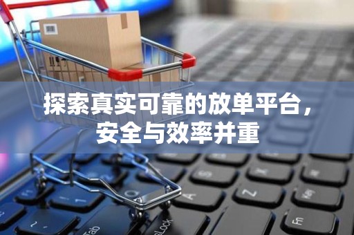 探索真实可靠的放单平台，安全与效率并重