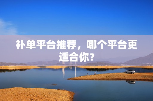 补单平台推荐，哪个平台更适合你？