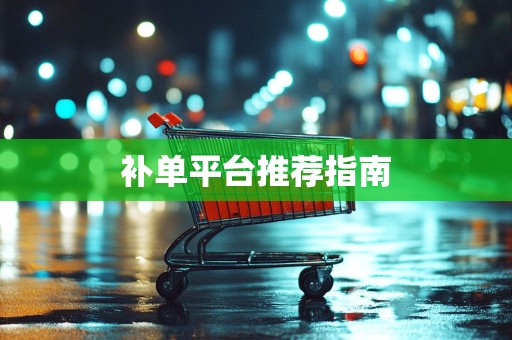 补单平台推荐指南