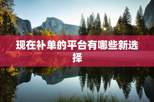 现在补单的平台有哪些新选择