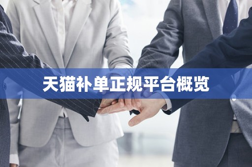 天猫补单正规平台概览