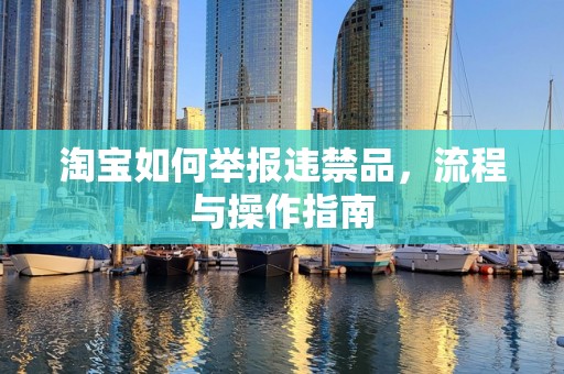 淘宝如何举报违禁品，流程与操作指南