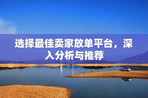 选择最佳卖家放单平台，深入分析与推荐