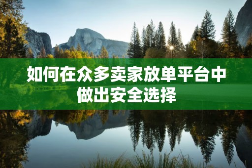 如何在众多卖家放单平台中做出安全选择
