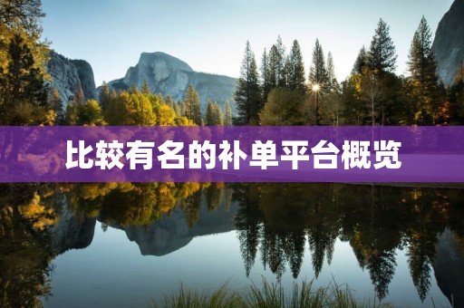 比较有名的补单平台概览