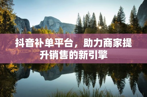 抖音补单平台，助力商家提升销售的新引擎