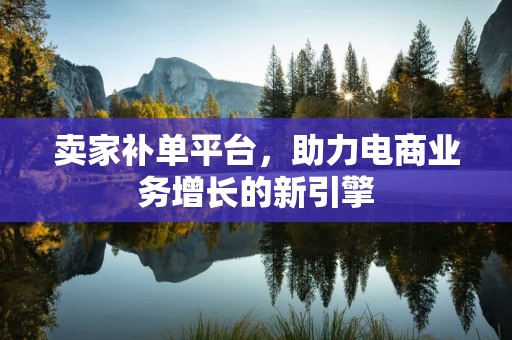 卖家补单平台，助力电商业务增长的新引擎