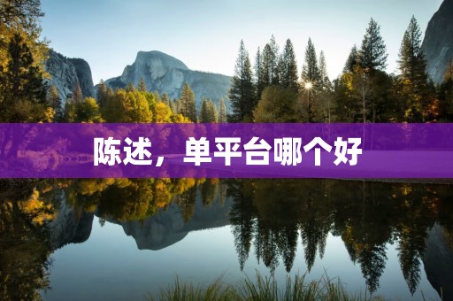 陈述，单平台哪个好