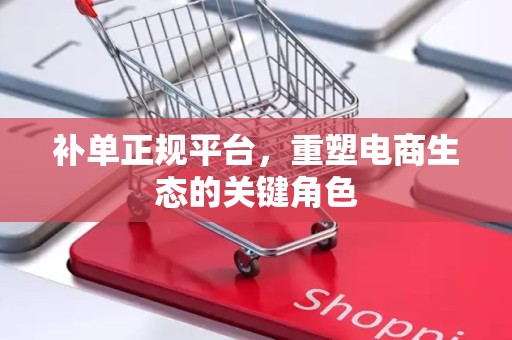 补单正规平台，重塑电商生态的关键角色