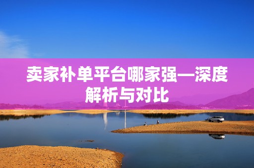 卖家补单平台哪家强—深度解析与对比