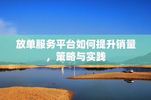 放单服务平台如何提升销量，策略与实践