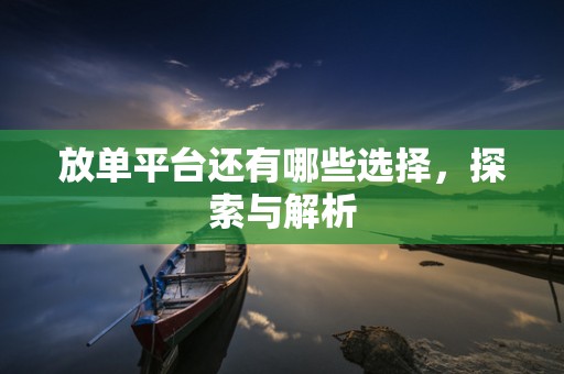 放单平台还有哪些选择，探索与解析