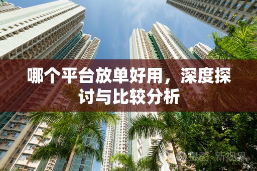 哪个平台放单好用，深度探讨与比较分析