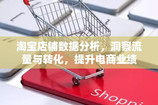 淘宝店铺数据分析，洞察流量与转化，提升电商业绩