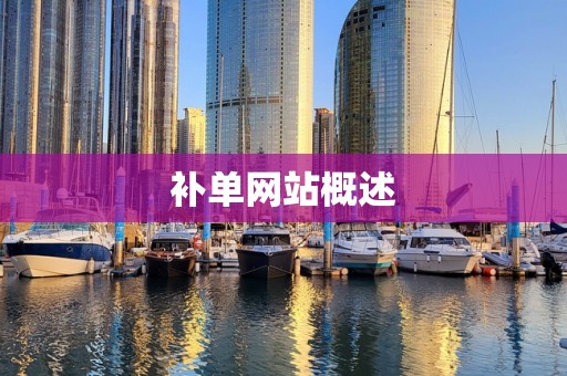 补单网站概述