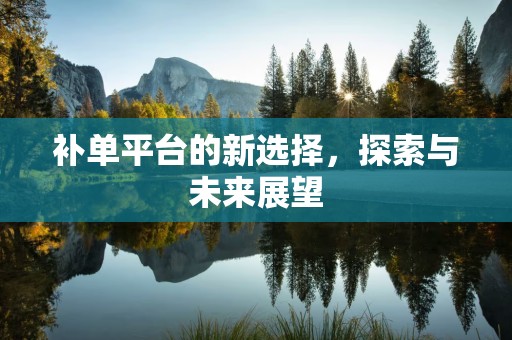 补单平台的新选择，探索与未来展望