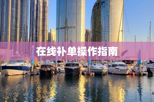 在线补单操作指南