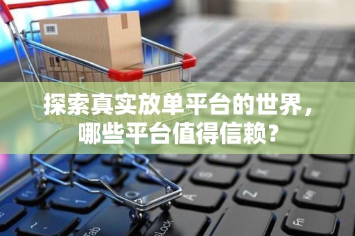 探索真实放单平台的世界，哪些平台值得信赖？