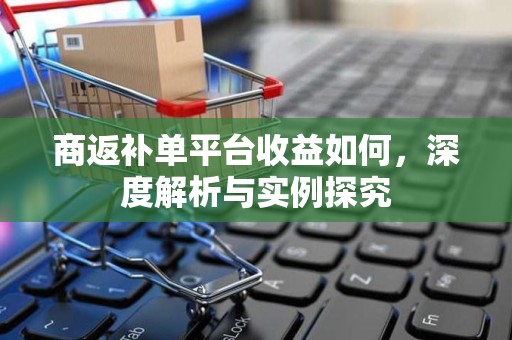 商返补单平台收益如何，深度解析与实例探究