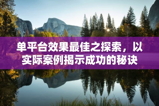 单平台效果最佳之探索，以实际案例揭示成功的秘诀