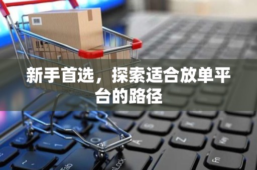 新手首选，探索适合放单平台的路径