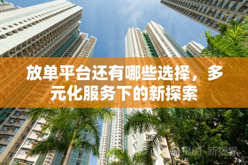 放单平台还有哪些选择，多元化服务下的新探索