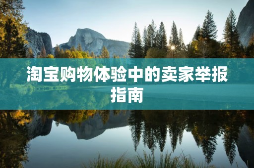 淘宝购物体验中的卖家举报指南