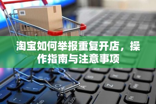 淘宝如何举报重复开店，操作指南与注意事项