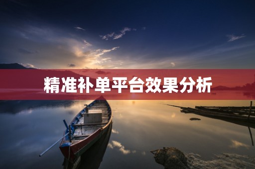 精准补单平台效果分析