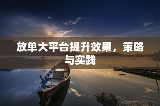 放单大平台提升效果，策略与实践