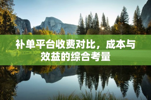 补单平台收费对比，成本与效益的综合考量