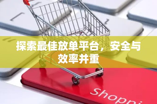 探索最佳放单平台，安全与效率并重