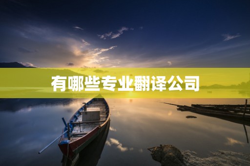 有哪些专业翻译公司