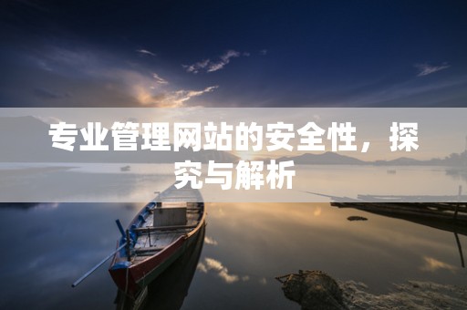 专业管理网站的安全性，探究与解析