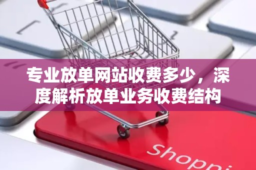 专业放单网站收费多少，深度解析放单业务收费结构