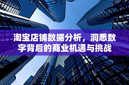 淘宝店铺数据分析，洞悉数字背后的商业机遇与挑战